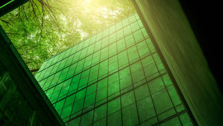 net zero carbon.jpg 1
