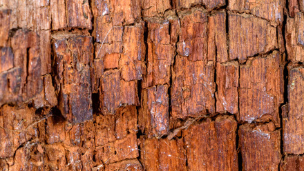 AdobeStock_1239096187.jpg