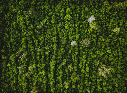 ivan-bandura-qvrjdtp8T3E-unsplash.jpg 1