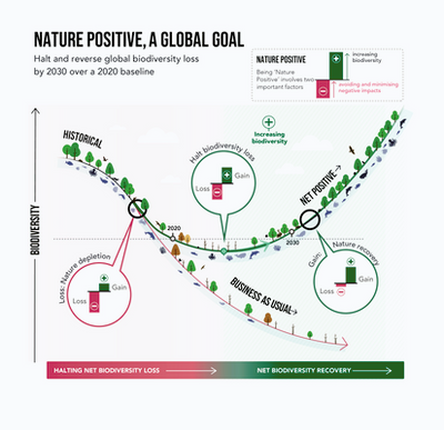 UKGBC launches framework to accelerate a nature-positive built environment
