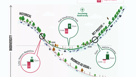 Nature-Positive-a-global-goal.png