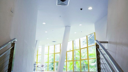 biophilic office.jpg 1