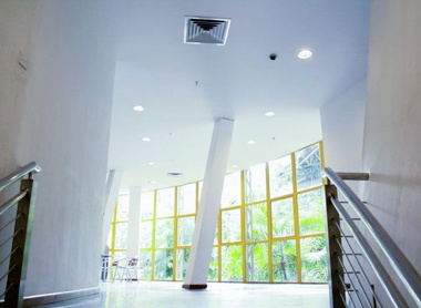 biophilic office.jpg 1
