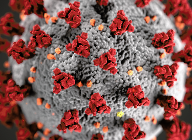 coronavirus.png