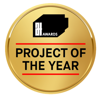 Project of the year.png