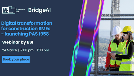 BSI BAI webinar 9 - Partner post.png