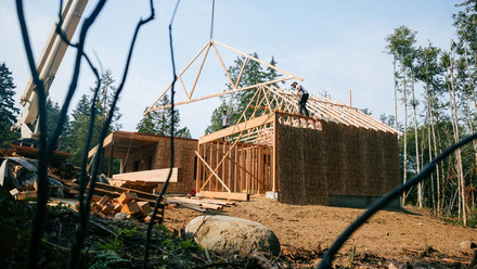timber.jpeg 2