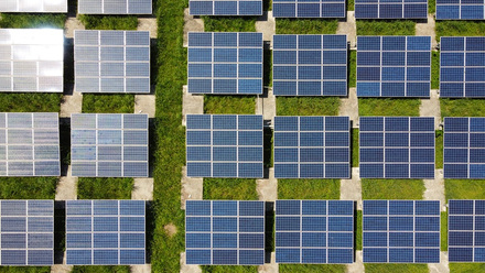 sustainability.jpeg