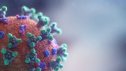 coronavirus .jpeg 5