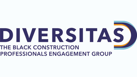 Diversitas Logo.jpg