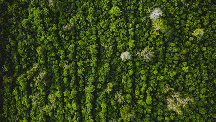 ivan-bandura-qvrjdtp8T3E-unsplash.jpg