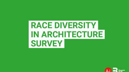 RACE-DIVERSITY-BANNER.png