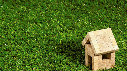 turf landscaping lawn house.jpg
